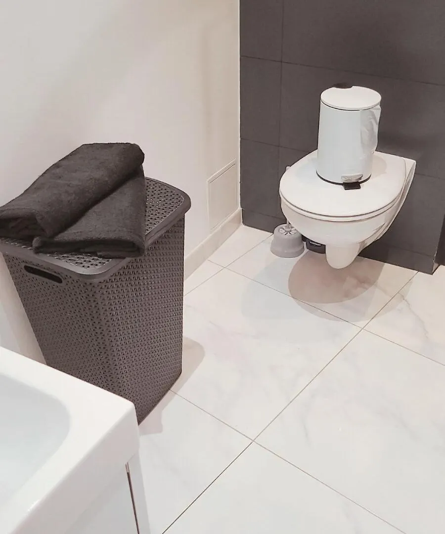 Le Cocon Palmier Daire Vitré 0*,