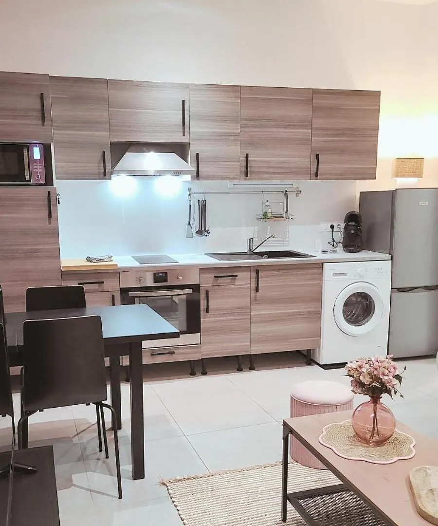 Le Cocon Palmier Daire Vitré