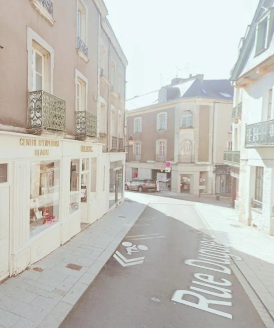 Le Cocon Palmier Daire Vitré